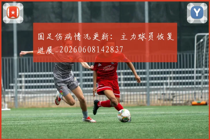 国足伤病情况更新:主力球员恢复进展_20260608142837